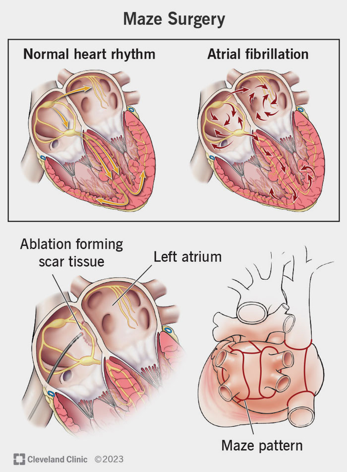 50 Interesting “Today I Learned” Facts If You Are Sick And Tired Of The News (New Pics)