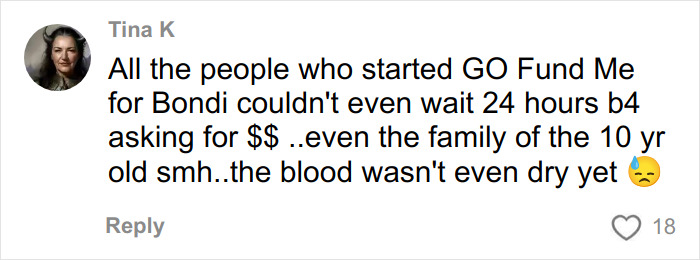 Comment criticizing a single mom's tone deaf GoFundMe after Bondi Beach attack sparks public outrage. Comment criticizing a single mom's tone deaf GoFundMe after Bondi Beach attack sparks public outrage.