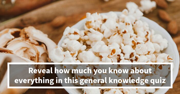 The General Knowledge True-Or-False Quiz That’ll Test How Well You Know Everything