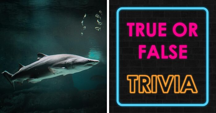 “Fact Or Myth?”: This True-Or-False Quiz Exposes What You Actually Know