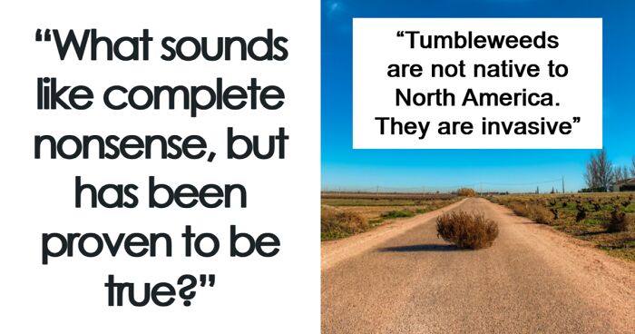 “Vatican City Has The Highest Crime Rate In The World”: 49 Nonsense-Sounding Statements That Turned Out To Be True