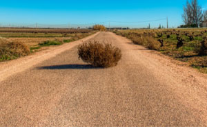 “Vatican City Has The Highest Crime Rate In The World”: 49 Nonsense-Sounding Statements That Turned Out To Be True