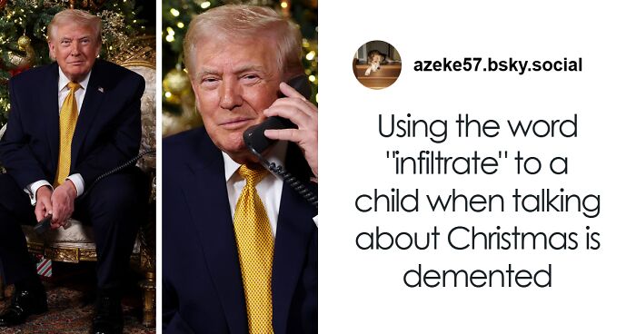 56 Cute Photos Of Bodega Cats That Feel Like Masters Of The Shops