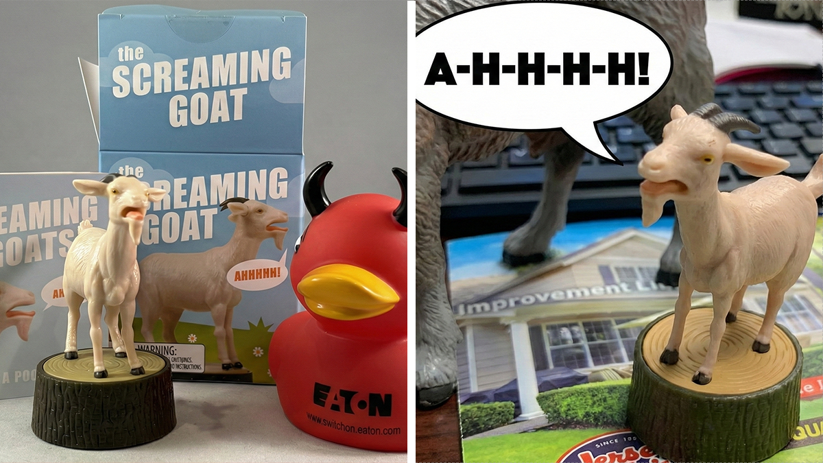 Screaming goat toy and red rubber duck with horns, playful gifts appealing to the mind of a 12-year-old kid.