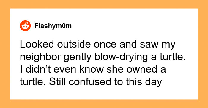 29 Of The Strangest Things People Accidentally Saw Neighbors Doing