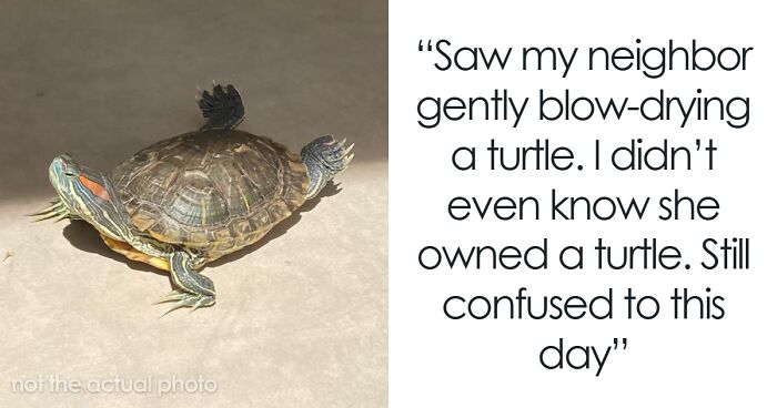 29 Weird Neighbor Moments People Still Cannot Explain