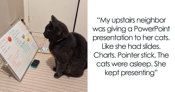 From Crazy To Hilarious, Here Are 27 Things Folks Accidentally Spotted In Other People’s Windows