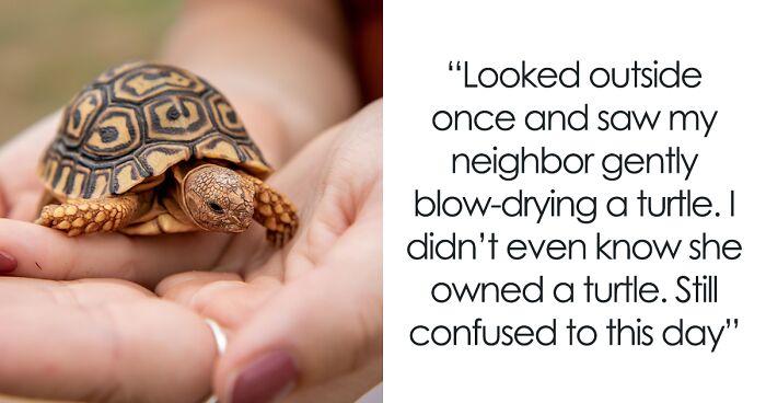 From Crazy To Hilarious, Here Are 27 Things Folks Accidentally Spotted In Other People’s Windows