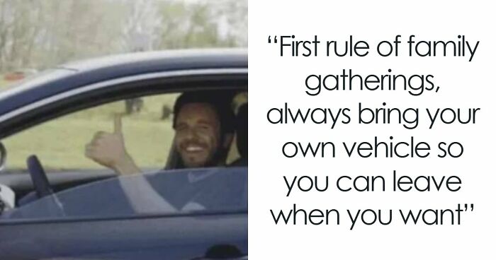 80 Hilarious Memes That Instantly Lift The Mood