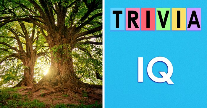 28 Real Questions From Top IQ Assessments That Only A Few Can Solve – Prove You Can