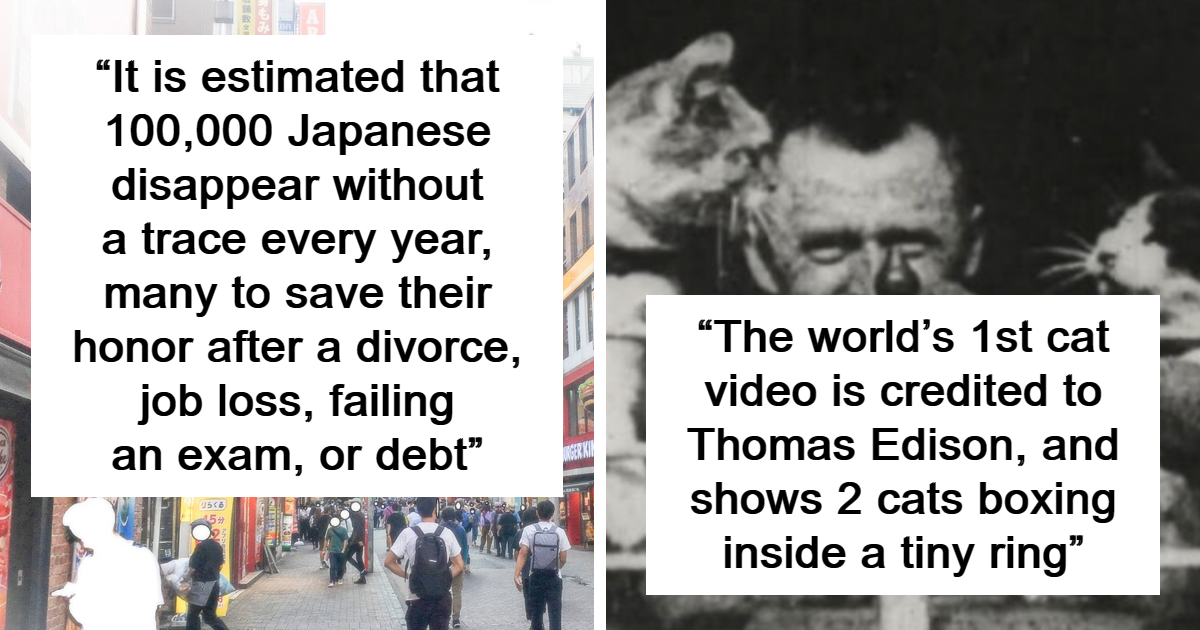 49 Facts So Fascinating They’ll Stick In Your Brain All Week