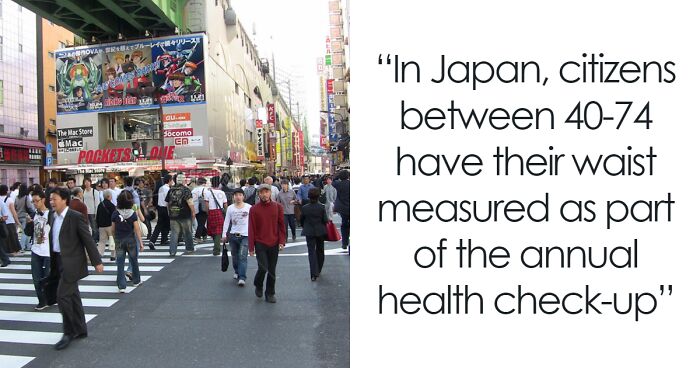 67 Fascinating And Amusing Fun Facts That Might Teach You Something New (New Pics)