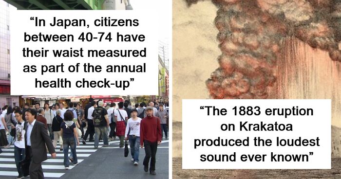 67 Fascinating And Amusing Fun Facts That Might Teach You Something New (New Pics)