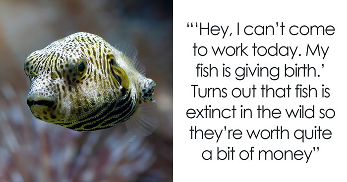 “I Couldn’t Stop Laughing”: 78 Weird But Surprisingly True Excuses For Missing Work