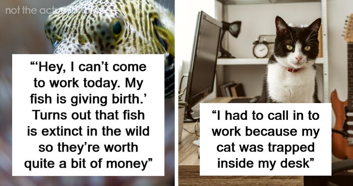 “I Couldn’t Stop Laughing”: 78 Weird But Surprisingly True Excuses For Missing Work