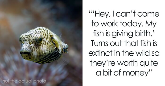 78 Times Employees Missed Work For Reasons So Strange They Had To Be Real