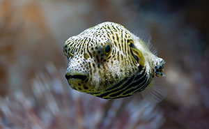 “I Couldn’t Stop Laughing”: 47 Weird But Surprisingly True Excuses For Missing Work