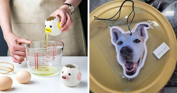 If You’re Feeling Heavy Today, Here Are 50 Adorable And Lighthearted Animal Memes