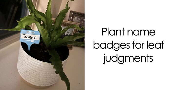 80 Tweets About Family Life That Are Way Too Accurate To Be Comfortable