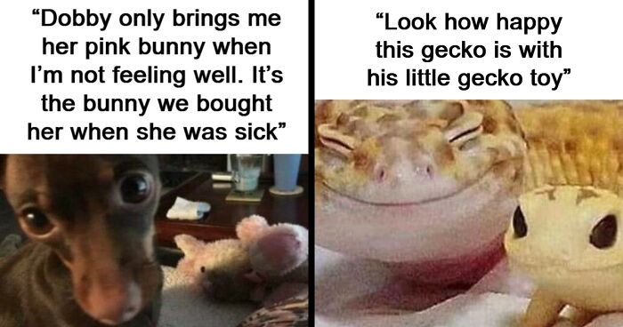 If You’re Not In A Festive Mood, These 103 Cute And Funny Animals Might Brighten Your Day