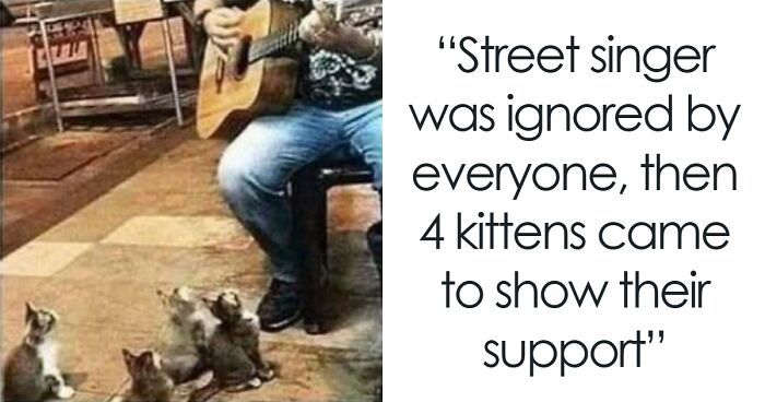 If You’re Not In A Festive Mood, These 103 Cute And Funny Animals Might Brighten Your Day