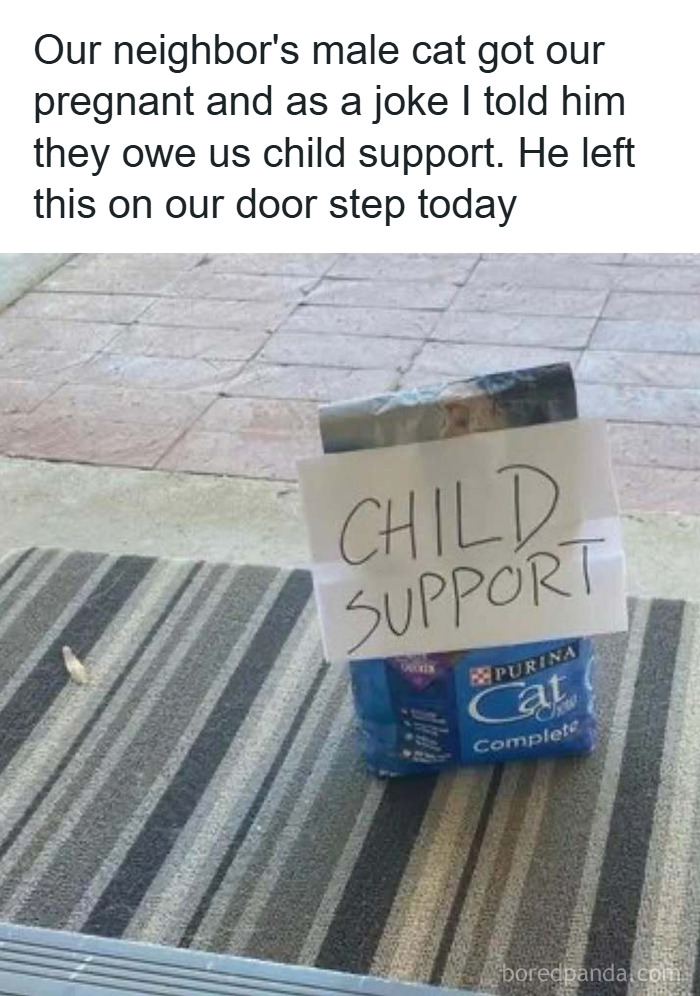 Bag of cat food left on doorstep with a child support sign, part of funny and wholesome animal posts to cleanse your feed.