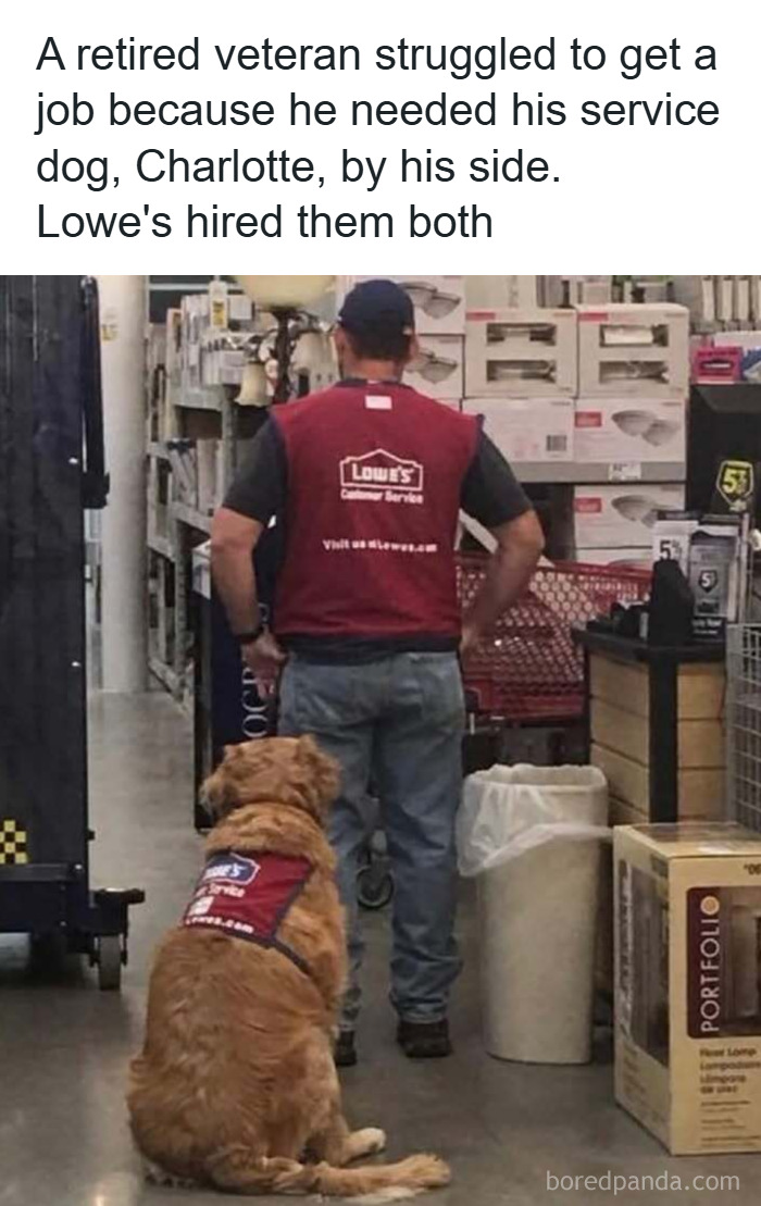 A service dog and veteran both wearing Lowe's vests, showcasing funny and wholesome animals in heartwarming moments.