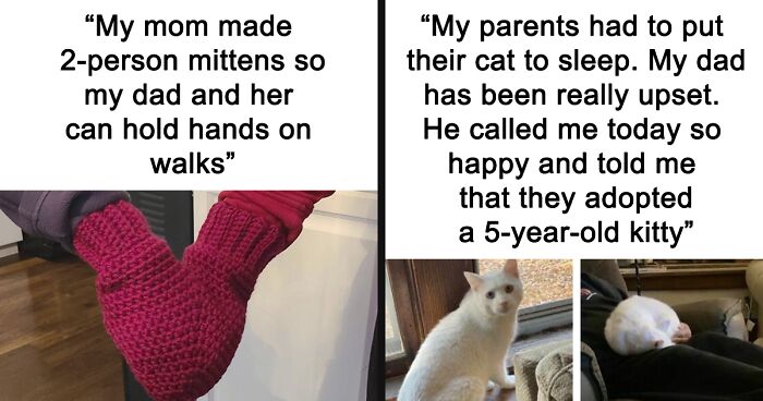 67 Cheerful Memes That Don’t Make You Feel Bad For Wasting Your Time Online (New Pics)