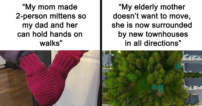 67 Cheerful Memes That Don’t Make You Feel Bad For Wasting Your Time Online (New Pics)