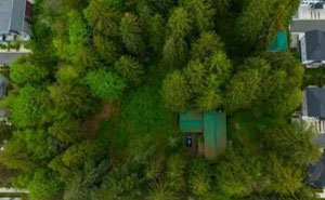 If You Are Having A Bad Day, These 67 Wholesome Memes Might Be Exactly What You Need (New Pics)