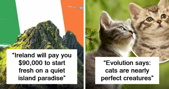 92 Gentle Facts That Might Make The World Feel A Little Lighter