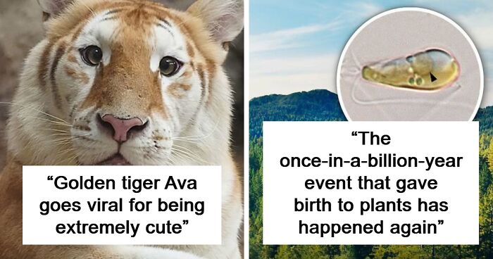 “Positivity Recommended”: 92 Wholesome Facts That Might Bring Some Sunshine To Your Day