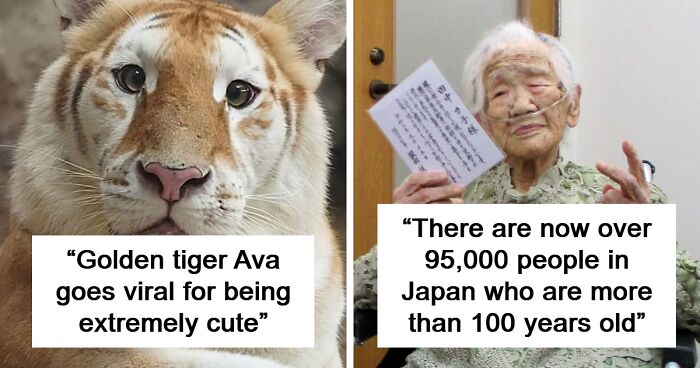 “Positivity Recommended”: 92 Wholesome Facts That Might Bring Some Sunshine To Your Day