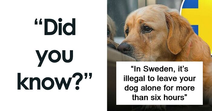 “Positivity Recommended”: 92 Wholesome Facts That Might Bring Some Sunshine To Your Day