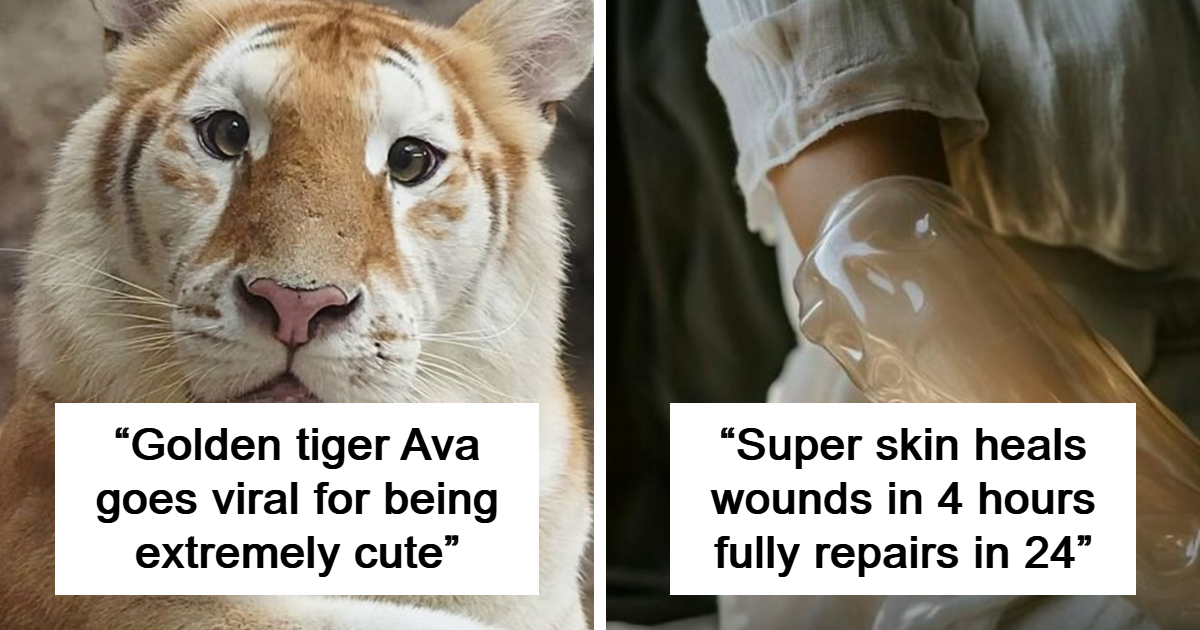 86 Wholesome Facts That You Probably Didn’t Know But Should