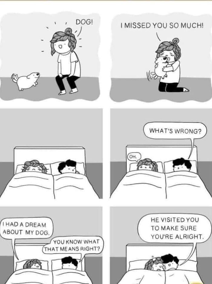 Cute black and white comic showing sweet moments between a person and their dog, capturing wholesome feelings.