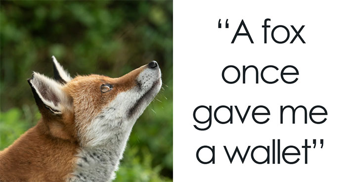 52 Most Unbelievable Things People Saw That Left Everyone Else Rolling Their Eyes