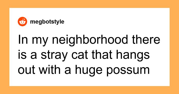 52 Most Unbelievable Things People Saw That Left Everyone Else Rolling Their Eyes