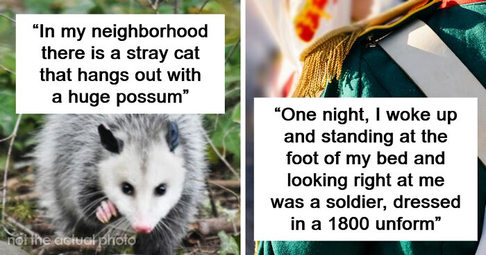 People Start To Question If They Really Saw These 52 Things As Nobody Believes Them