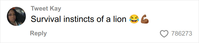 User profile picture with a comment reading survival instincts of a lion, expressing strength and humor.
