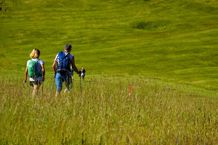 Couple hiking through tall grass in a green field, enjoying outdoor activities and nature adventure together. Couple hiking through tall grass in a green field, enjoying outdoor activities and nature adventure together.