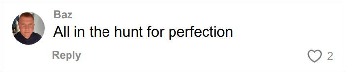 Comment by Baz with profile picture, stating all in the hunt for perfection and showing two likes.