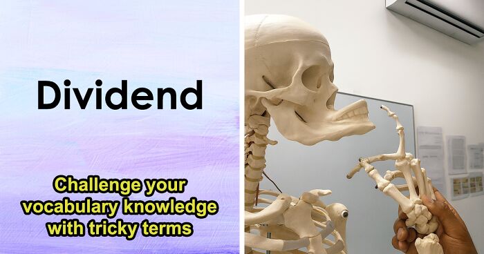 Test How Broad Your Vocabulary Really Is By Defining 30 Tricky Words In This Language Quiz