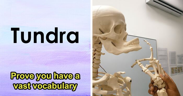 Test How Broad Your Vocabulary Really Is By Defining 30 Tricky Words In This Language Quiz
