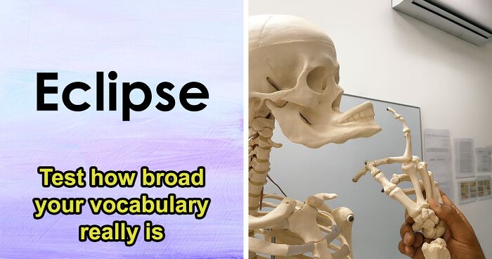 Test How Broad Your Vocabulary Really Is By Defining 30 Tricky Words In This Language Quiz