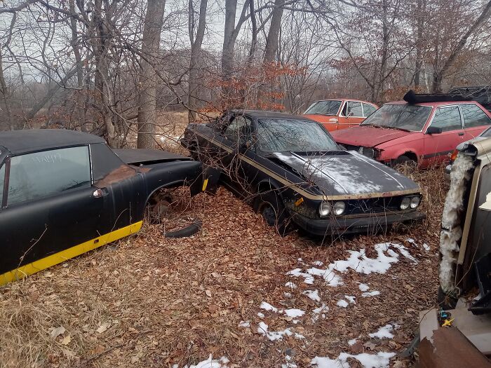 Abandoned cars covered in leaves and snow in a wooded area showcasing startling things home service professionals saw.