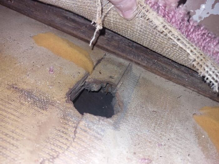 Hole in worn carpet being lifted, showing damaged floor underneath in a startling home service discovery.