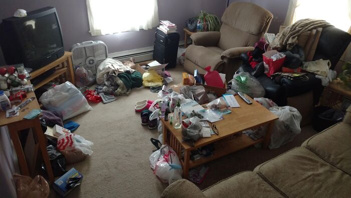 Cluttered living room with scattered bags and items, showing a typical startling thing home service professionals saw at clients' homes.