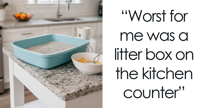 50 Stories That Prove You Never Know What’s Behind Someone’s Front Door