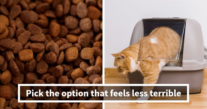 Face 30 Hard ‘Would You Rather’ Choices And See How Your Picks Compare To Everyone Else